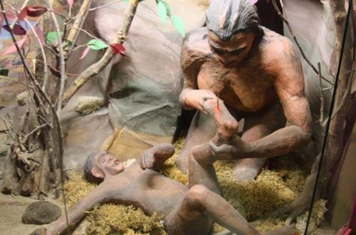 Adəm və Həvva təkzib olunur - MARAQLI FAKTLAR - İnsan nə vaxt və necə yaranıb?