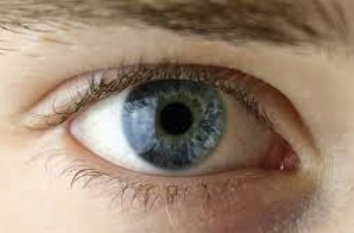 Azərbaycanda 42 yaşlı kişinin spirtli içkidən gözləri tutuldu