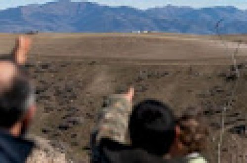 Zəngəzurda Ermənistanın 173 qoyunu Azərbaycan qüvvələrinə “əsir düşüb”