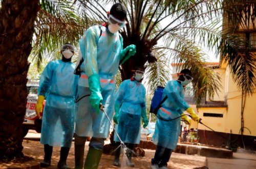 Гвинея снова столкнулась с угрозой эпидемии вируса Эбола