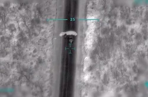 Türkiyə Müdafiə Nazirliyi terroçuların məhv edilməsinin görüntülərini paylaşdı - VİDEO