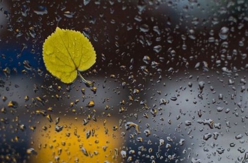 Sabahın hava proqnozu AÇIQLANDI