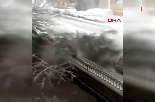 Qarın ağırlığına tab gətirə bilməyən ağac minik avtomobilinin üstünə düşdü - VİDEO