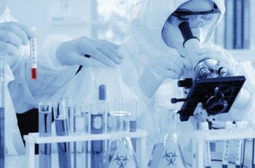 Ученые признали британский штамм коронавируса более смертоносным