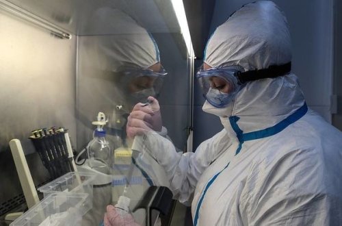 В десяти странах обнаружен новый штамм коронавируса