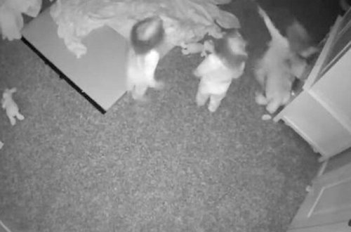 Uşaq otağındakı kameraya baxan valideynləri qorxuya salan anlar - VİDEO