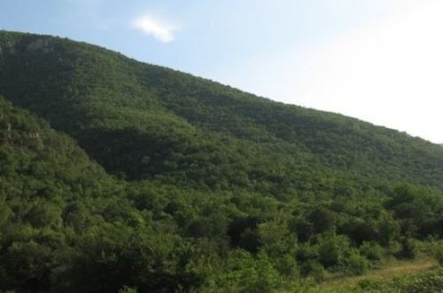 Bəsitçay qoruğu 30 il fərqlə - VİDEO