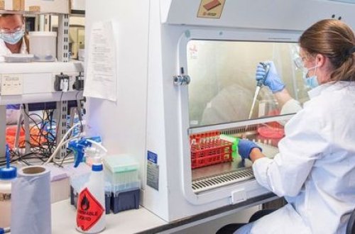 Koronavirusla bağlı SON STATİSTİKA