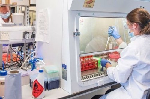 Число вылечившихся от коронавируса в мире превысило 85 млн