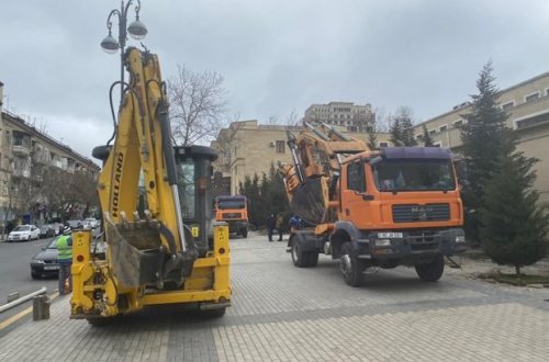 Yasamalda ağaclar niyə köçürülür? - Nazirlikdən CAVAB + FOTO