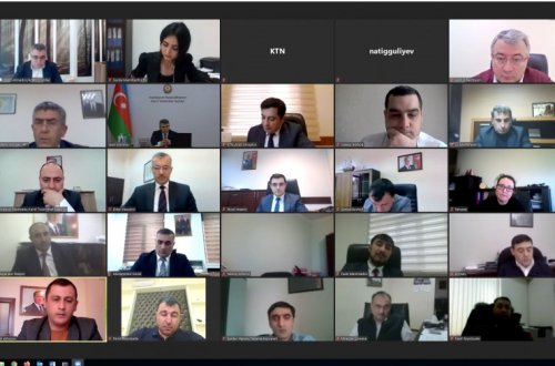 Südçülük sektorunda fəaliyyət göstərən fermer və sahibkarlarla onlayn görüş keçirilib