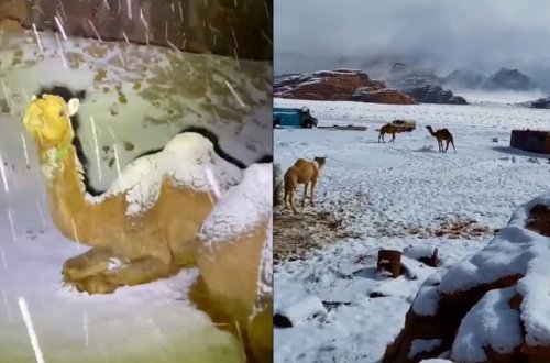 Səudiyyə Ərəbistanında qar yağıb - VİDEO