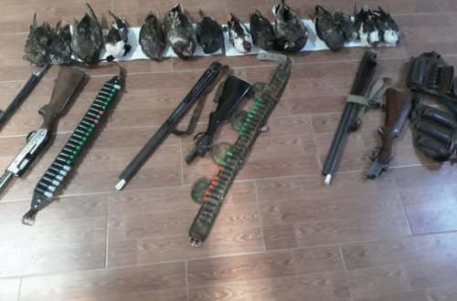 В Масаллы за незаконную охоту привлечена к ответственности группа лиц