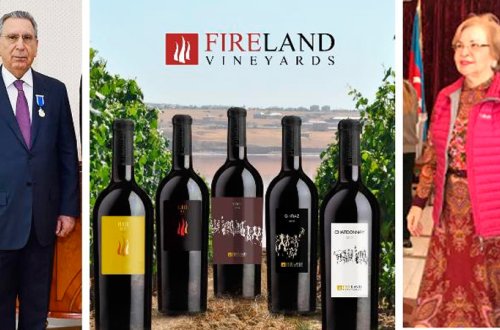 Ramiz Mehdiyevin həyat yoldaşı ilə bağlı məhkəmə prosesi keçirilib