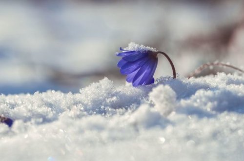 Sabahın hava proqnozu AÇIQLANDI