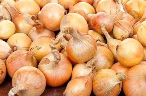 Крупная партия импортируемого в Азербайджан лука оказалась непригодной для употребления