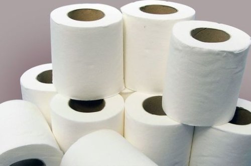 Дети из бедных семей Великобритании делали уроки на туалетной бумаге