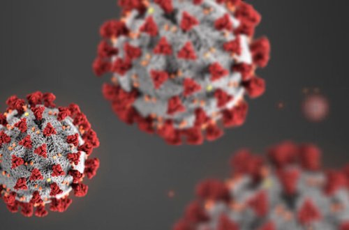 Diqqət: Bu, COVID-19-u tamamilə MƏHV EDİR