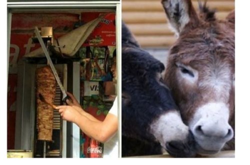 Ölü eşşək və at ətindən hazırlanmış dönər və məşhur “fast food”un digər təhlükələri - FOTO