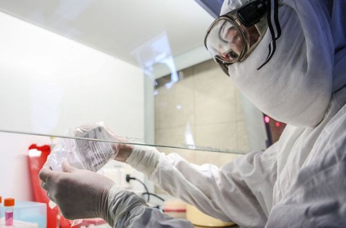 Обнародовано число инфицированных коронавирусом в Азербайджане за минувшие сутки - ФОТО