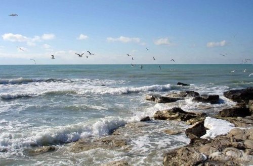 Azərbaycanda Xəzərin sahili dondu - FOTO