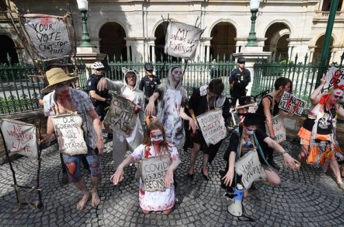 “Zombi”reportaj zamanı jurnalisti dişlədi - VİDEO