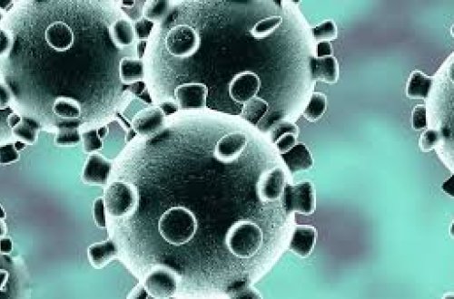 ABŞ-da son sutkada COVID-19-a 74 mindən çox yoluxma qeydə alınıb