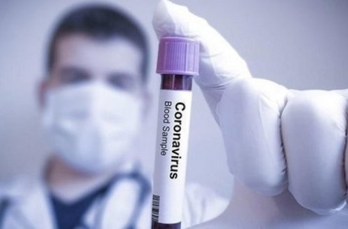 Обнародованы последние данные по COVID-19 - ФОТО