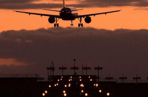 Təyyarə pişiyə görə geri döndü