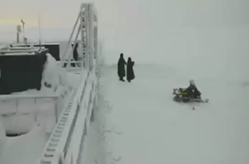 Ağ ayı qar arabasını qaçırmaq istədi – VİDEO