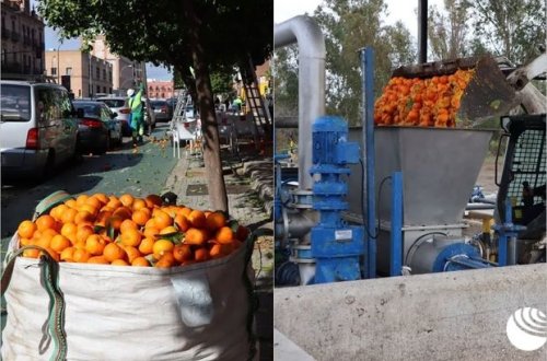 İspaniyadan yenilik: Portağaldan elektrik enerjisi alınacaq - FOTO