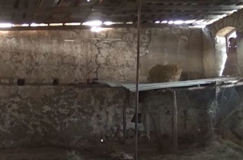 Üzərində erməni vandalizminin izləri olan məscid - VİDEO