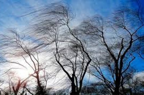 Sabah Bakıda güclü külək əsəcək