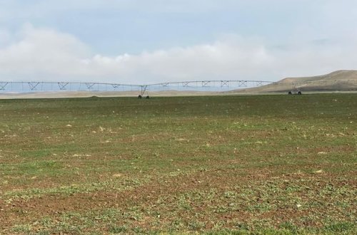 Azad edilmiş ərazilərdə torpaq sahələrinin inventarlaşdırılması başa çatıb