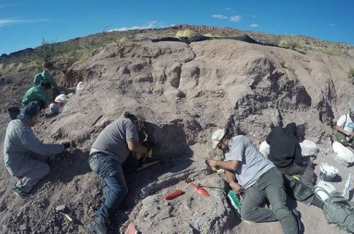 Dünyanın ən qədim titanozavrının qalıqları tapılıb