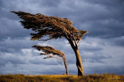 Güclü külək əsəcək - XƏBƏRDARLIQ