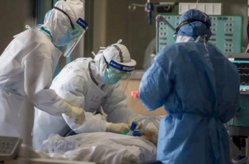 Gürcüstanda virus qurbanlarının sayı 3 600-ə çatır