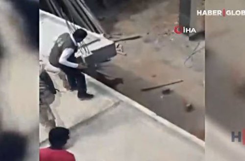 Hindistanda meşədən şəhərə gələn bəbir beş nəfəri yaraladı – VİDEO