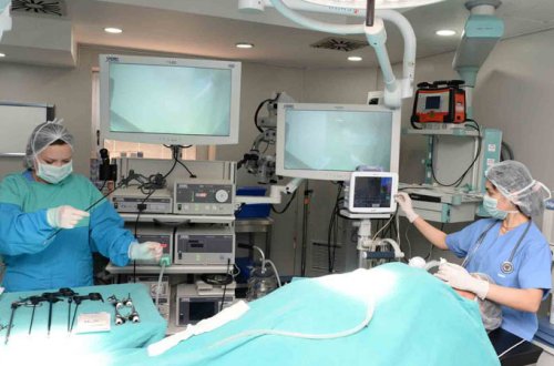 Bu xəstəliyi olanlar pulsuz müalicə oluna bilər (SİYAHI)