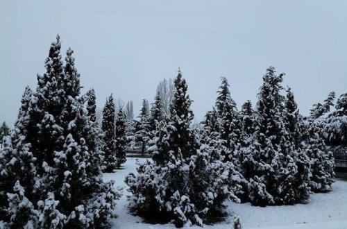 Прогноз погоды в Азербайджане на 13 марта