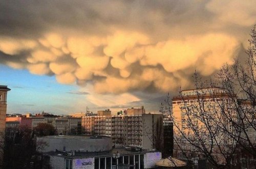 Berlin səmasında nadir təbiət hadisəsi görünüb – FOTO/VİDEO