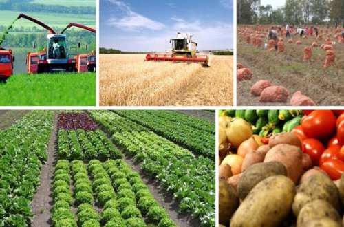 Türkiyə və Azərbaycan bu sahədə əməkdaşlığı genişləndirəcək