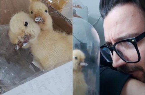 Kanadalı kişiyə Çindən tükürpədən bağlama gəldi - FOTO