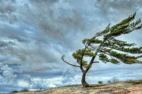 Sabah güclü külək əsəcək, rayonlara qar yağacaq