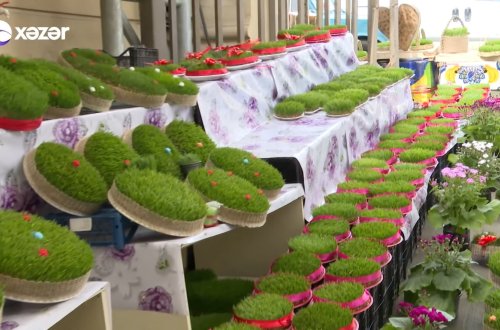 Bazarda 600 manata səməni satılıb - VİDEO