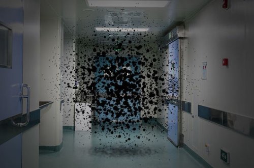 Dünya xəstəxanalarını ölümcül təhlükəli göbələk xəstəliyi bürüyüb: Yeni pandemiyanın başlanğıcı