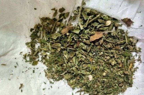 Balakən sakinindən narkotik götürüldü - FOTO