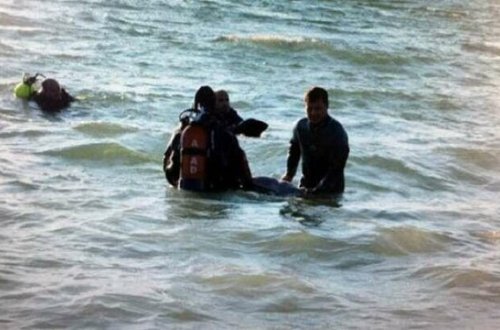 DƏHŞƏT YAŞANIR: İnsanların əllərini bağlayıb dənizə atırlar