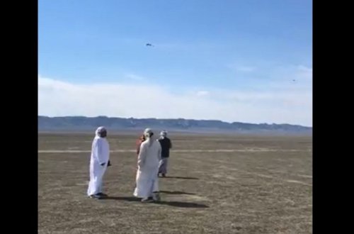 Ərəblərin drona göyərçin bağlayıb şahinə yem etmələri ilə bağlı rəsmi açıqlama