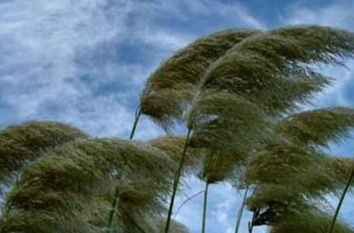 Güclü külək əsəcək, yağış yağacaq - PROQNOZ